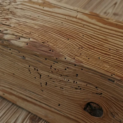Altholz ohne Holzwürmer - So funktioniert es - Altholz ohne Holzwürmer ✅ So funktioniert es!